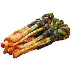 [산들바람김치] 쪽파김치 500g 1kg 2kg 파김치/김치/반찬/HACCP인증/우리농산물, 파김치1kg, 1개