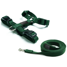 아띠지기 강아지 앞섬방지 H형 하네스 + 웨빙 리드줄 세트, 올리브, 1세트