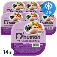 듀먼 전연령용 강아지 눈가반짝 화식사료, 닭, 100g, 14개