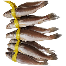 민어굴비 손질생선, 1kg (10마리 / 21cm전후), 1개