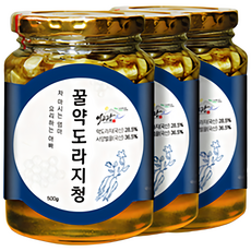 이고장식품 꿀약도라지청, 500g, 1개