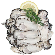 통영굴 제철 깐 생굴, 1개, 대굴 800g