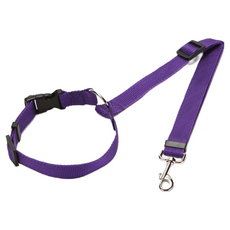 딜헤븐 강아지 차량 안전벨트, 바이올렛, 1개