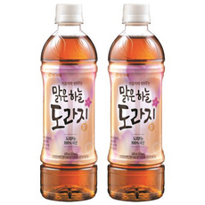빙그레 맑은하늘 도라지차, 500ml, 20개