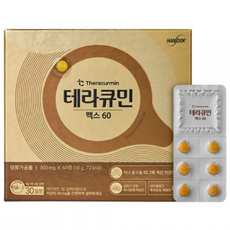 테라큐민 맥스 60 나노화 커큐민 정제 18g, 1개, 60정