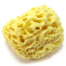 韓國 OCEAN 海洋蜂巢海綿 大號, 單色, 1 個