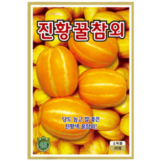 진황꿀참외 씨앗 (50립) 종묘 종자 끌참외 참외 씨 영웅 KS, 1개