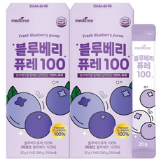 메디트리 미국산 블루베리 주스 퓨레 100%, 2개, 280g