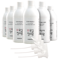 청소왕 욕실용 4개 + 찌든때 2개 부엌주방 화장실 물때 타일틈새 하수구 세면대 변기 세정제, 1개