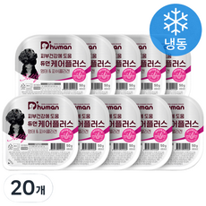 듀먼 전연령 강아지 케어플러스 피부건강 화식사료, 흰살생선, 50g, 20개