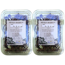 청운당농산 지리산 야생 참 당귀차 2팩 자연산 참당귀 뿌리, 100g, 1개입, 2개