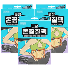 동국제약 굿잠 온찜질팩(허리용) 허리통증 온열스팀 허리찜질, 3개