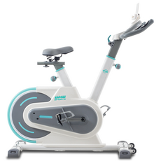 비앰비스포츠 마그네틱 BSI-M305BZ 스핀바이크 헬스 실내자전거 홈트 운동, BSI-M305WZ 화이트(제품만)