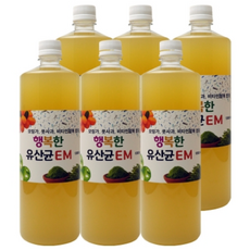 도가수 em 이엠 6통