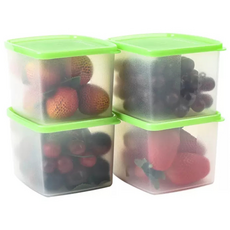 타파웨어 냉장고정리용기 800ml 0.8L 냉동실보관용기, 4개, 1세트, 풀색