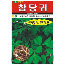 참당귀씨앗 200립 참당귀 토당귀 국내채종 씨앗, 1개