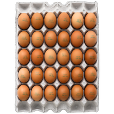 금당 꾼란 촉촉고소 구운계란 구운란 30구, 1개