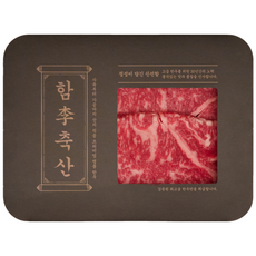 함이축산 1++ 투뿔 한우 채끝살 (냉장), 300g, 1개