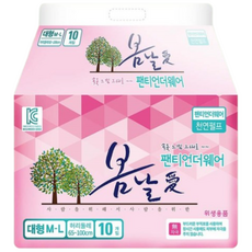 팬티형 성인 산모 환자 노인 언더웨어 방수기저귀(봄날애)-대형(10매)-남녀공용, 10개입, 1개, 대형