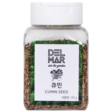 딜리셔스마켓 천연향신료 큐민씨드 소형, 60g, 1개