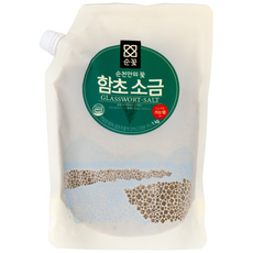 순꽃 함초소금 가는염 우수천일염사용 순천만 유기농함초, 1개, 1kg