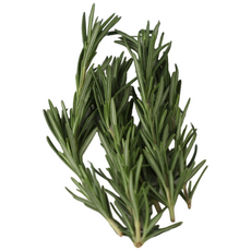 데코용로즈마리 생잎 허브 가니쉬 로즈마리, 100g, 1개