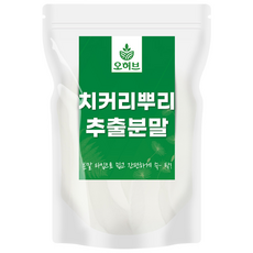 대용량 치커리 뿌리 추출물 가루 분말 1kg, 1개