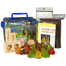 꼬마풍뎅이 장수풍뎅이 사슴벌레 사육세트 (곤충미포함), 04곤충사육 중형세트 (장수풍뎅이용), 1개