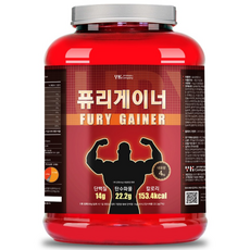 퓨리 게이너 4kg 헬스 단백질 보충제 벌크업 FURY GAINER 복합 프로틴 대용량, 1개