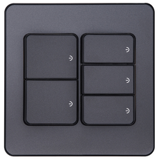 CHEIL ELECTRIC 5開關面板 金屬灰, 1個