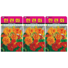 한련화 꽃 씨앗 꽃씨 종자