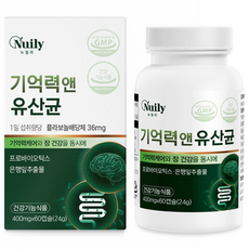 뉴일리 기억력 앤 유산균 400mg 은행잎 추출물 프로바이오틱스 폴라보놀 두뇌 장케어 기억력 혈행 개선, 1개, 60정