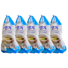 참프레 백숙용 냉동 영계 삼계탕용 생닭, 5개, 500g