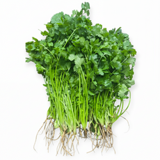 고수 ( Ngo ri) 100g/아시아 농장 송소희, 100g, 1개