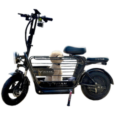 타이탄600 pro 강아지 대형견 대용량 전기 스쿠터 전동 21ah 블랙, 블랙(1번사은품), 하이텐강