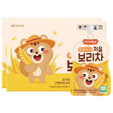 아이배냇 처음 아기보리차 10개 유아음료 어린이음료, 100ml