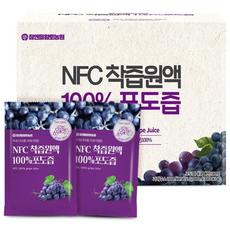 참앤들황토농원 NFC 착즙원액 포도즙, 100ml, 50개