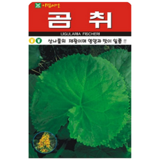 하이원 산나물 씨앗 곰취 100립, 1개