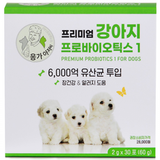 응가아저씨 프리미엄 강아지 프로바이오틱스1 6000억 유산균, 30회분, 장건강/유산균, 1박스