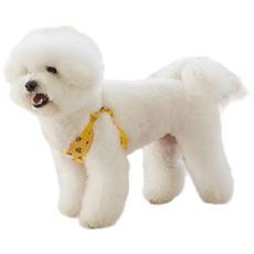 likalika 快扣小熊貝貝狗狗胸背帶, 黃色小熊