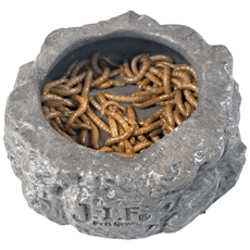 밀웜나라 J.I.F 밀웜 그릇, 1개