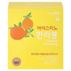 고려인삼제품공사 타이거마마 아이스티노, 1개