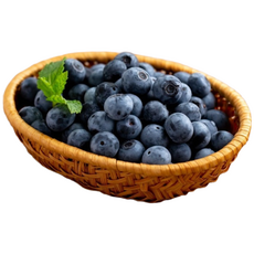 산지직송 고당도 국내산 노지 생 블루베리, 4박스, 중과(14mm이상) 100g