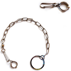 鸚鵡腳環6號 + 金屬鍊套組, 混合顏色, 1個