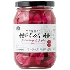 순창 전통 수제 무 피클 양배추 무피클 적 양배추 피클 수제 양배추 피클 수제피클 양배추절임 무절임, 300g, 1개