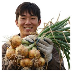 더좋은 무안 양파, 1개, 4kg(소)