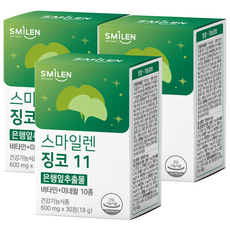 스마일렌 11 은행잎추출물 징코, 30정, 3개