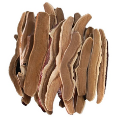 영지버섯절 / 중국산 (250g), 1개