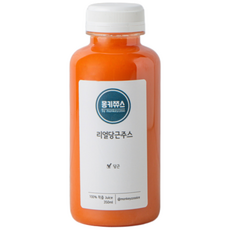 제주구좌당근주스 당근 100% 착즙 주스, 2개, 500ml