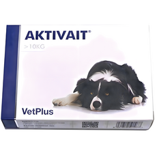 벳플러스 액티베이트 중대형견 미디움 라지 강아지 독 영양제 60캡슐 두뇌 항산화제 2개, 60정, 면역/항산화